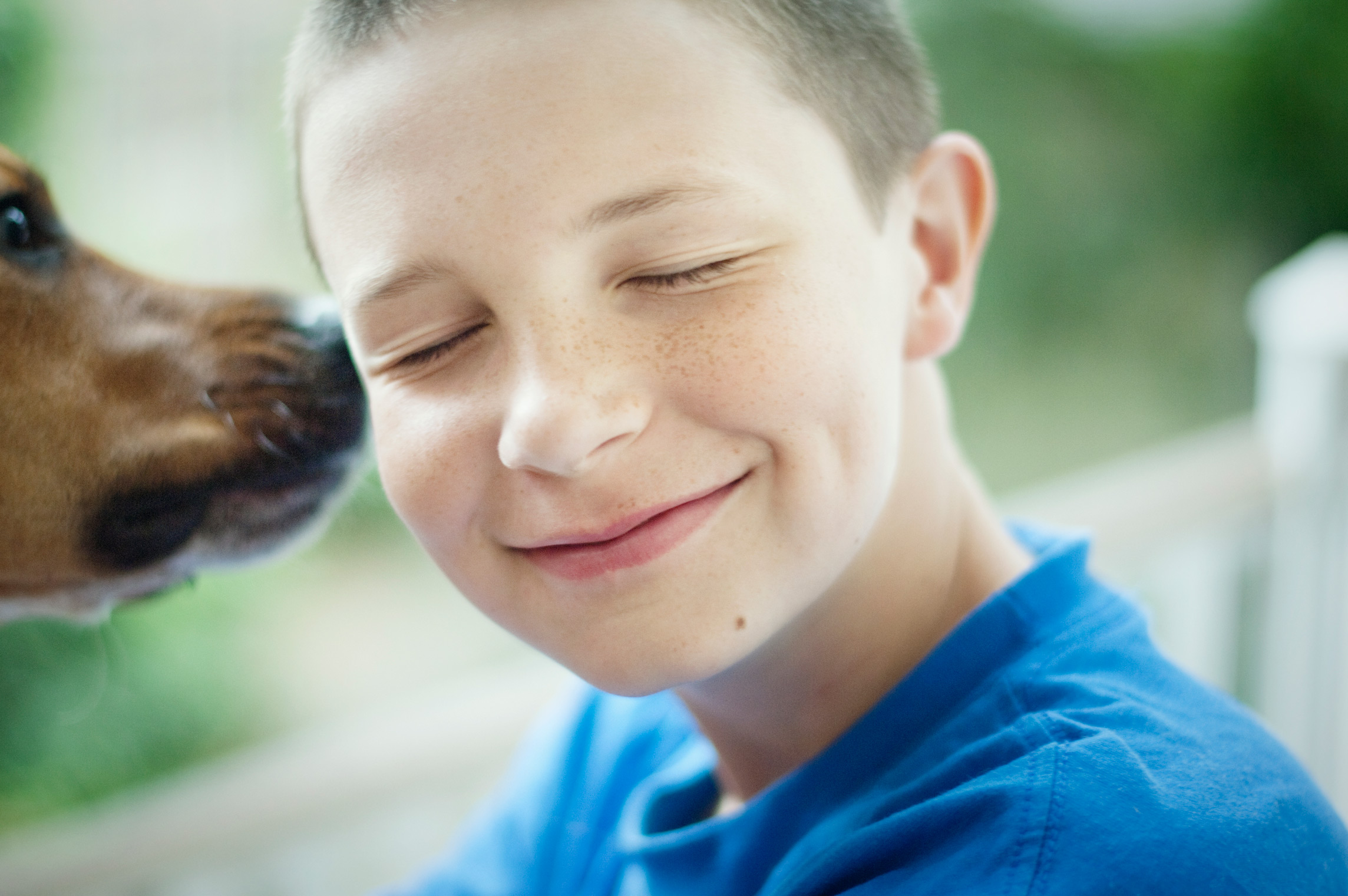 boy being licked on face by doggie